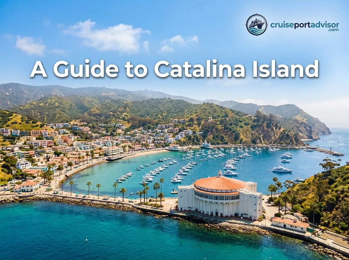 What to Do in Catalina Island on a Cruise Day