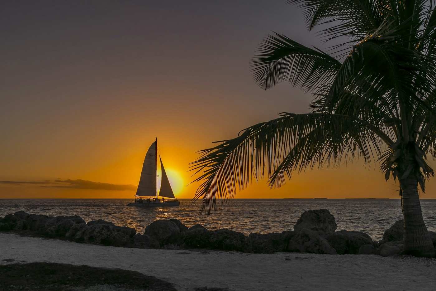 Best Things to Do in Key West on a Cruise Day