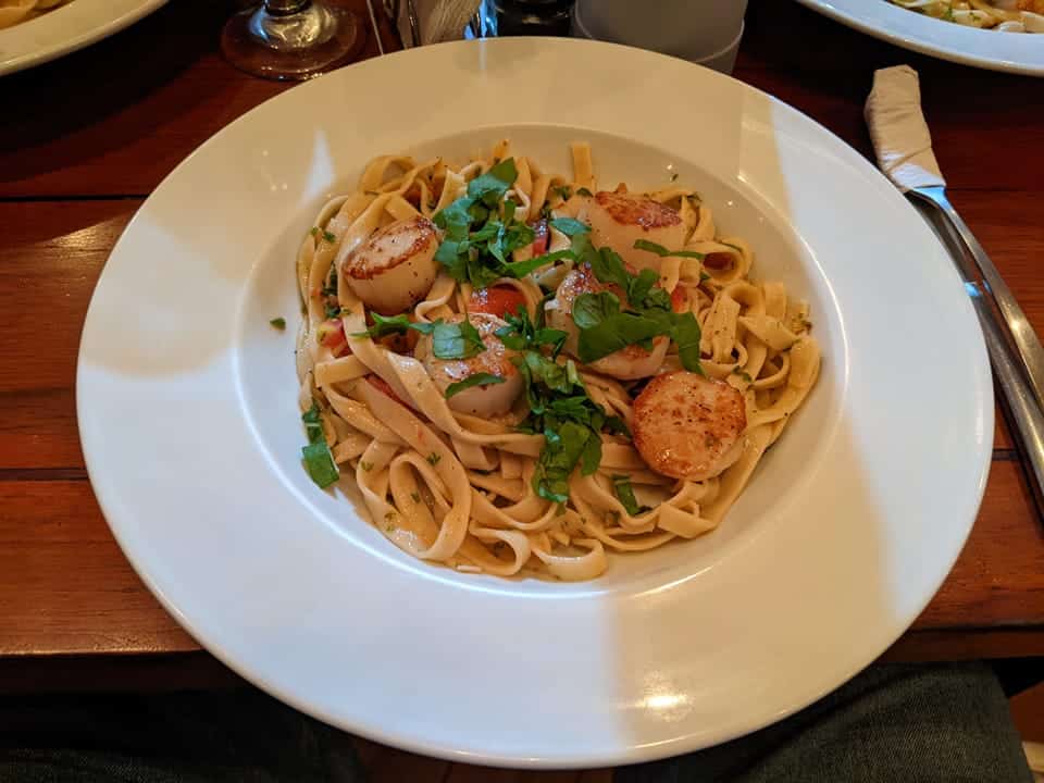 Bowl of fettucine noodles with oil-based sauce topped with grilled scallops and and fresh green herbs 