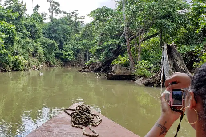 View from a boat tour along the Indian River. River is muddy brown, narrow, with trees and ferns along the riverbank. You can see a passenger on the boat holding a camera.