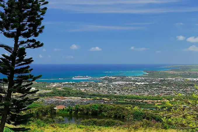 View over Maui from high atop a hill. In the far background you can see a cruise ship docked.