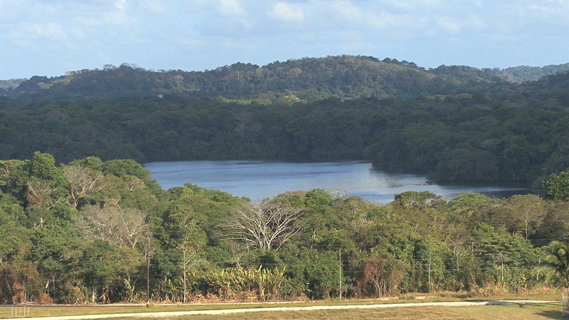 panama_canal20_rainforest-3022012-5-644