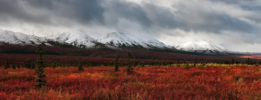 fall in alaska