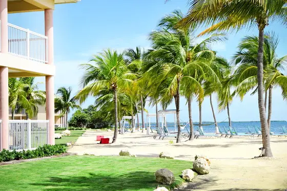 White sand beach with beach loungers sitting underneath tall palm trees facing blue ocean. Adjacent to the beach is a strip of green grass with a two-story pink hotel with balcony rooms overlooking the beach.