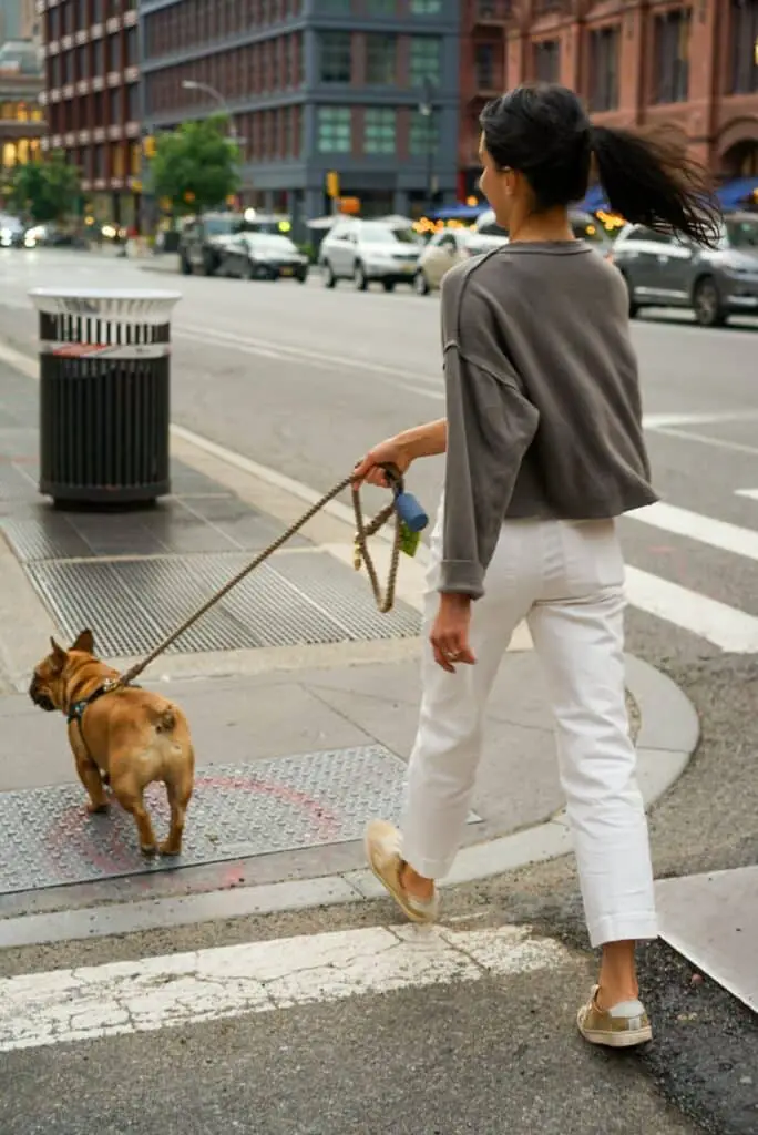 Woman in white pants and grey long-sleeved shirt is walking a small brown dog down a sidewalk in a large city.