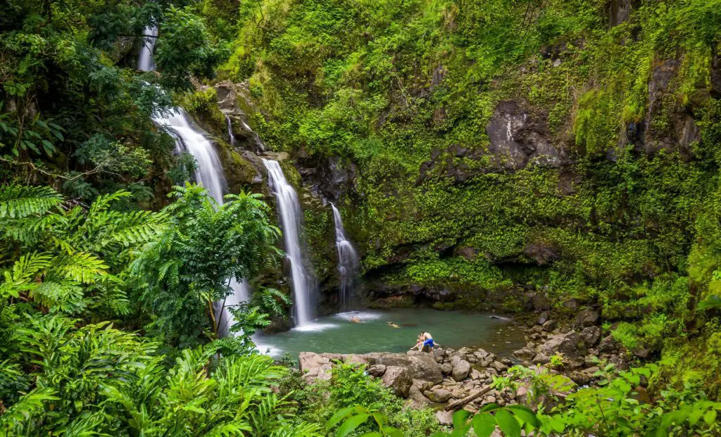 A trio of thin waterfalls emptying into a green pool surrounded by lush greenery.