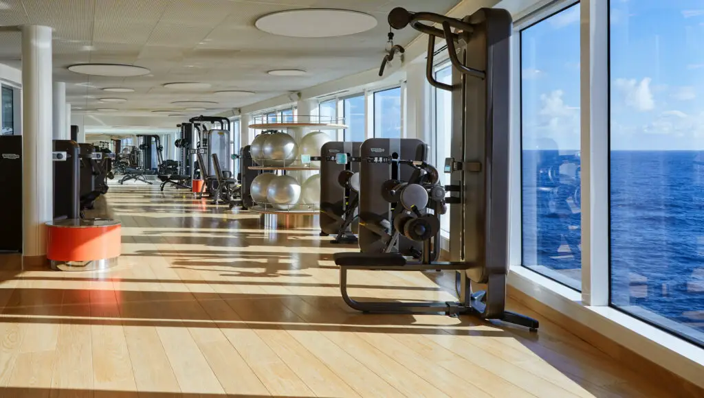 Fitness facilities. A large training machine, free weights, large balance balls, all lined up along large windows with a sea view. 