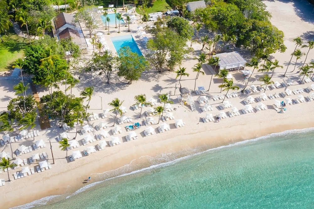 Aerial view of beach with white umbrellas. A rectangular pool is behind surrounded by palm trees and loungers.